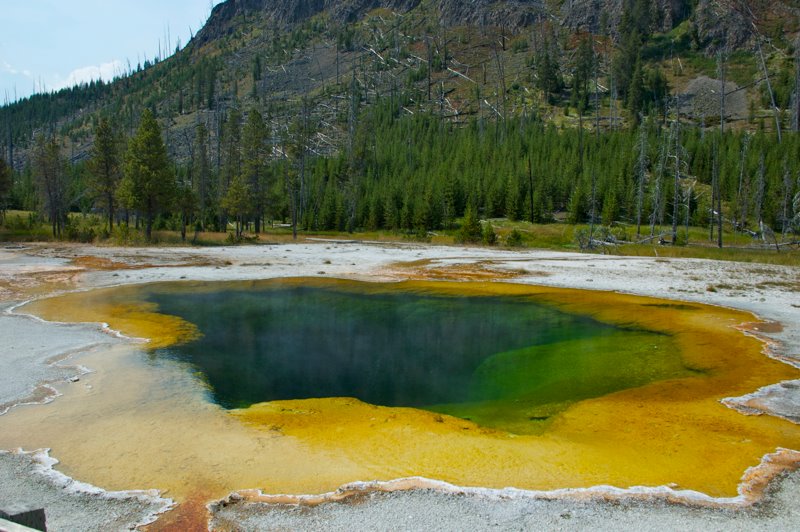 Pool in Yellowstone National Park in Amerika
