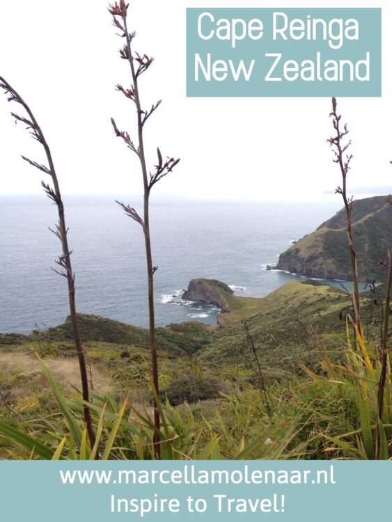 Cape Reinga New Zealand