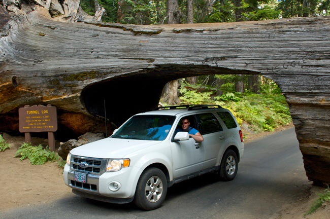 Sequoia National Park, America