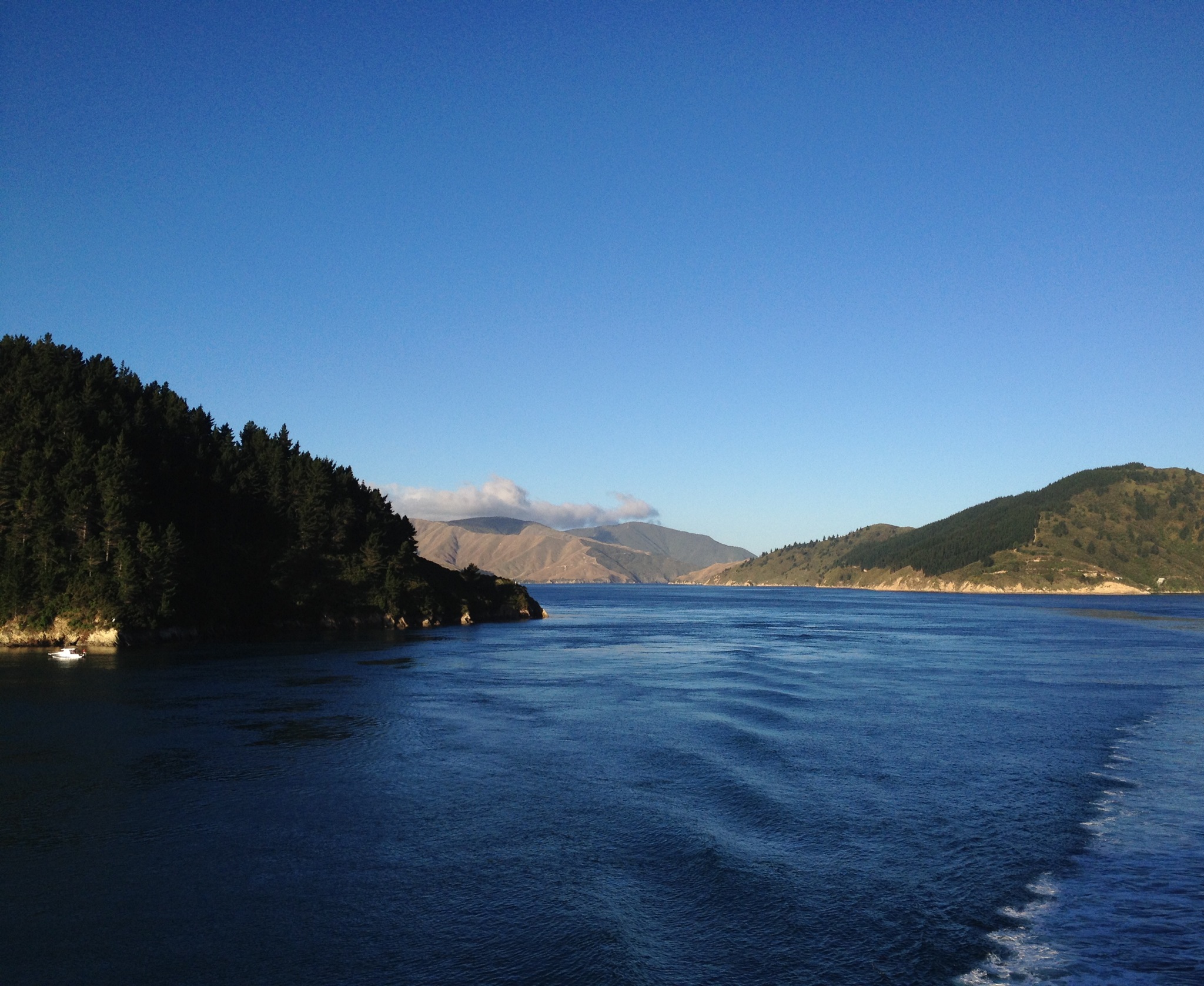 The Cook Strait Crossing