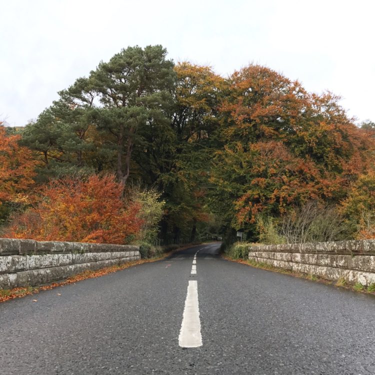 Autumn Nortern Ireland
