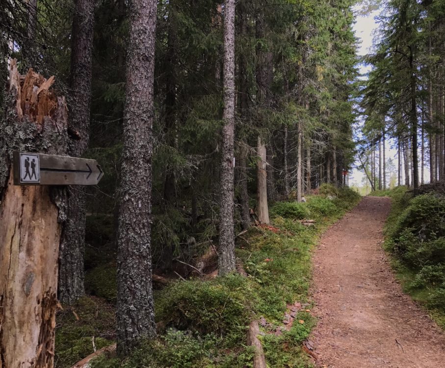 Hiking Safsen, Sweden