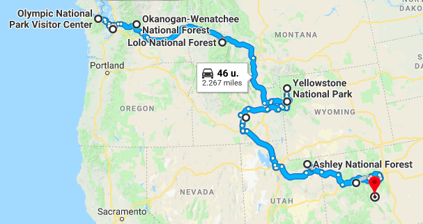 Roadtrip Yellowstone America