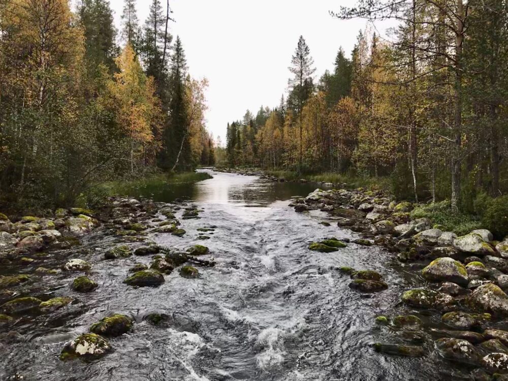 Oulanka National Park Finland