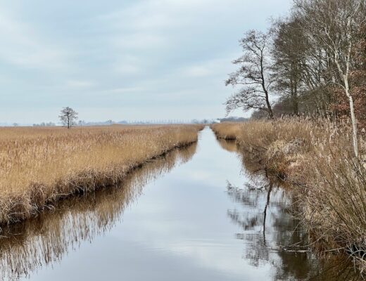 Nationaal Park Weerribben-Wieden Holland