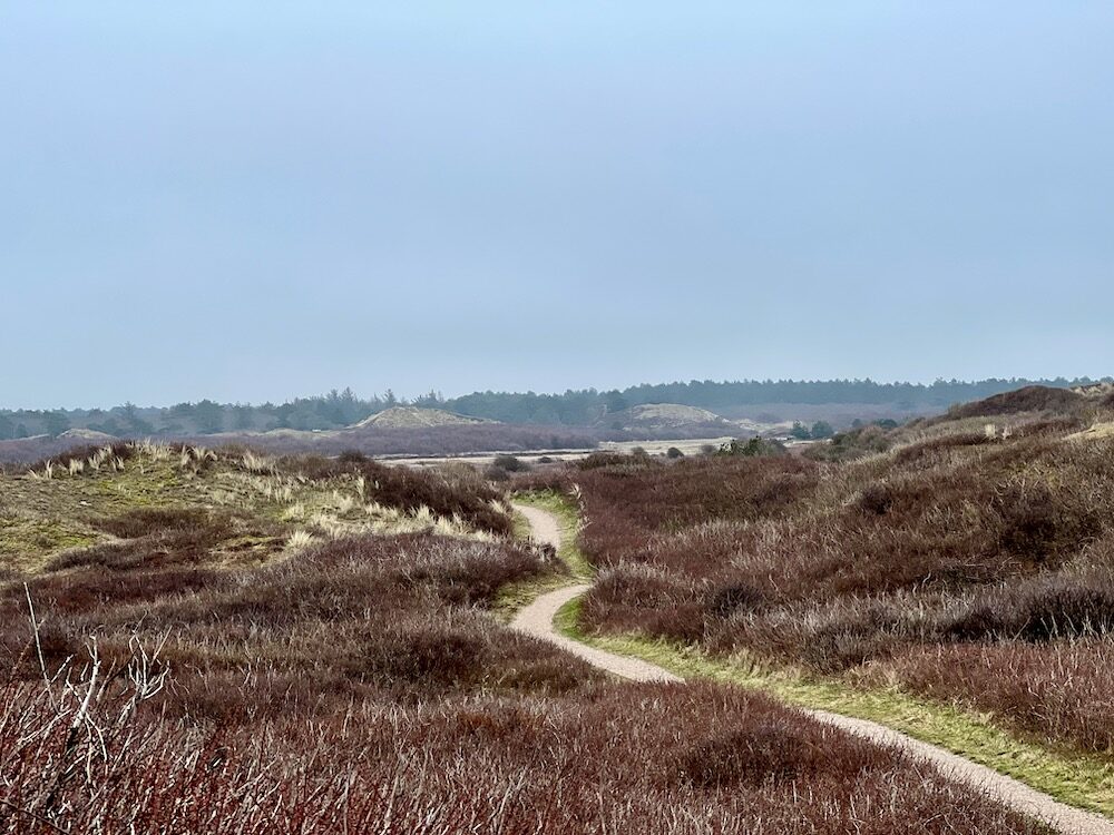 Nationaal Park De Duinen van Texel Holland